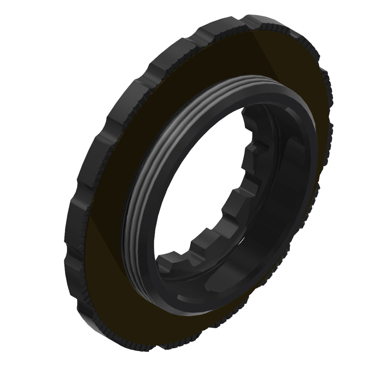 DT Swiss CenterLock Lockring Black Each