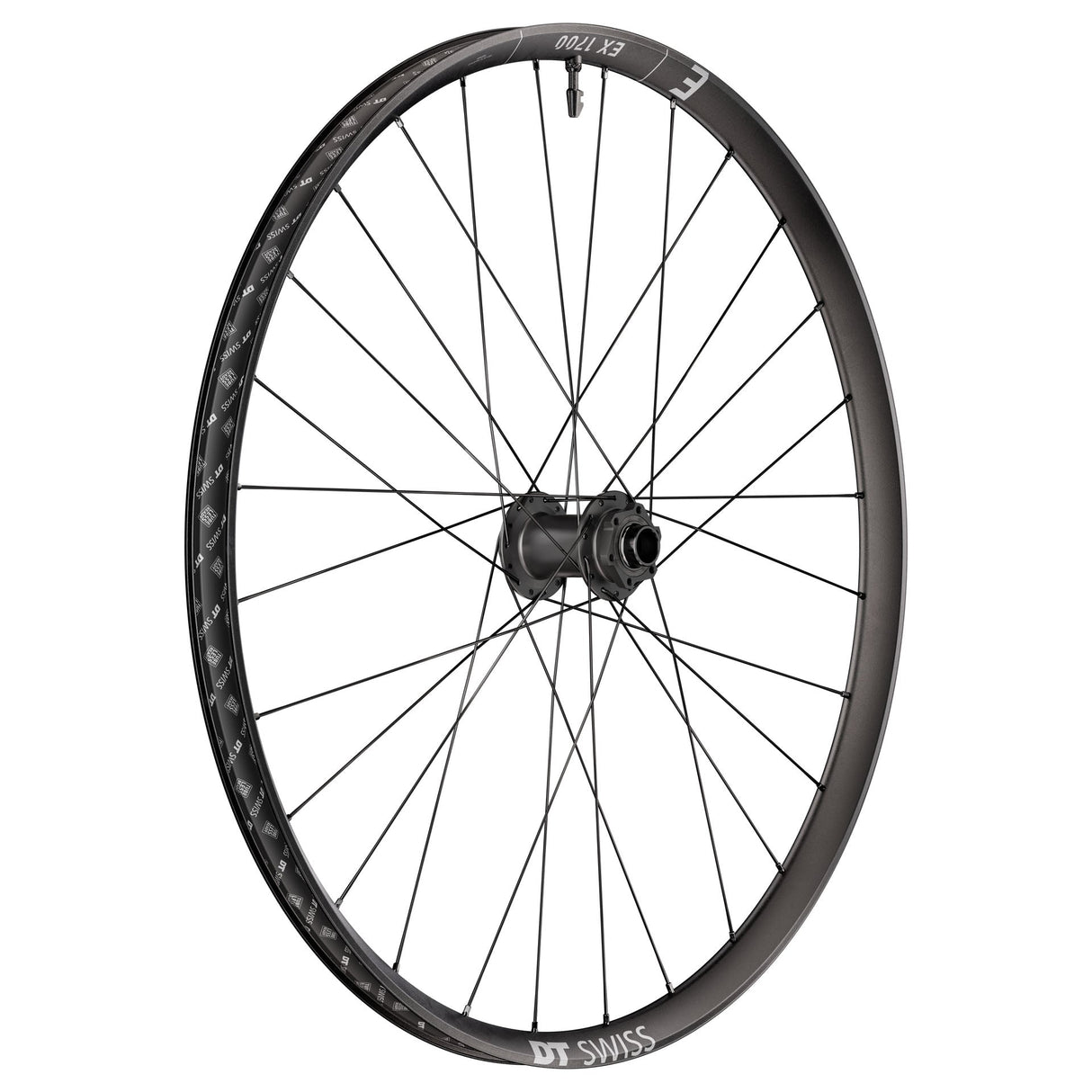 DT Swiss EX 1700 Classic Front Wheel - 29" - 20x110mm Boost - The Lost Co. - DT Swiss - WEX1700BFEXSA28894 - 7613052533612 -