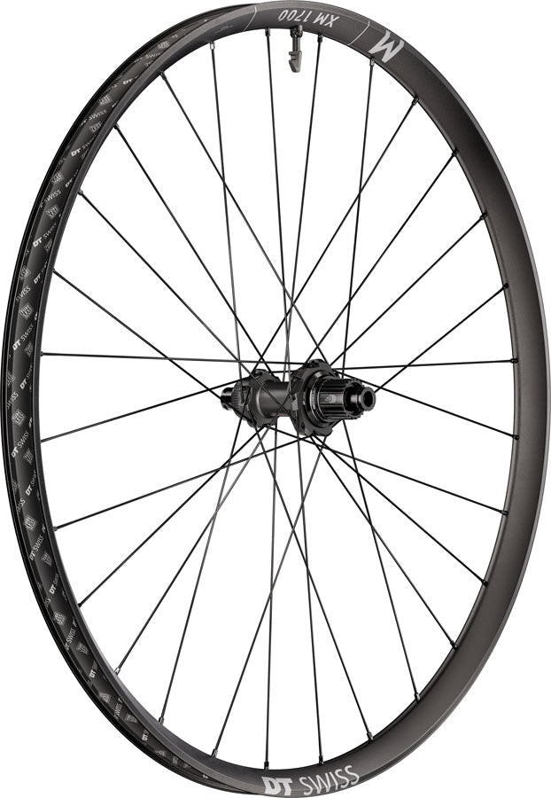 DT Swiss XM 1700 Spline 30 Rear Wheel - 29" - 12x148mm - Center-Lock - Micro Spline - DEG 72 DF - The Lost Co. - DT Swiss - WXM1700TED2SA27946 - 7613052546711 -