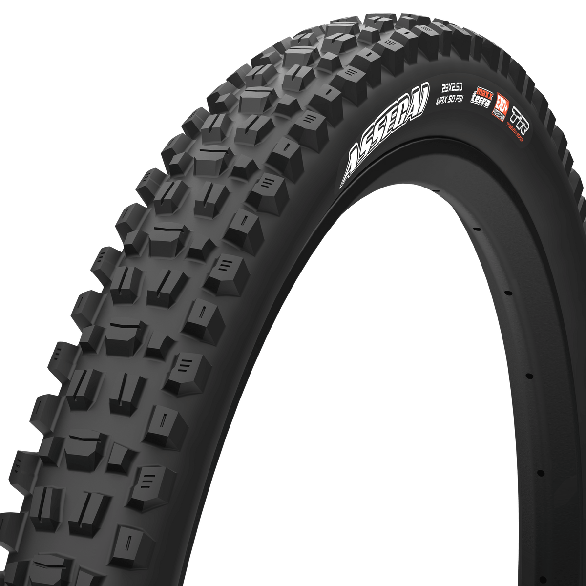 Maxxis Assegai - 29x2.5 - EXO+ - MaxxTerra V2 – The Lost Co.