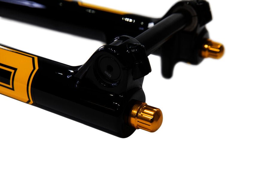 Ohlins DH38 M.2 - The Lost Co. - Ohlins - FDMTB 3820 2510 - B - OH1578 -