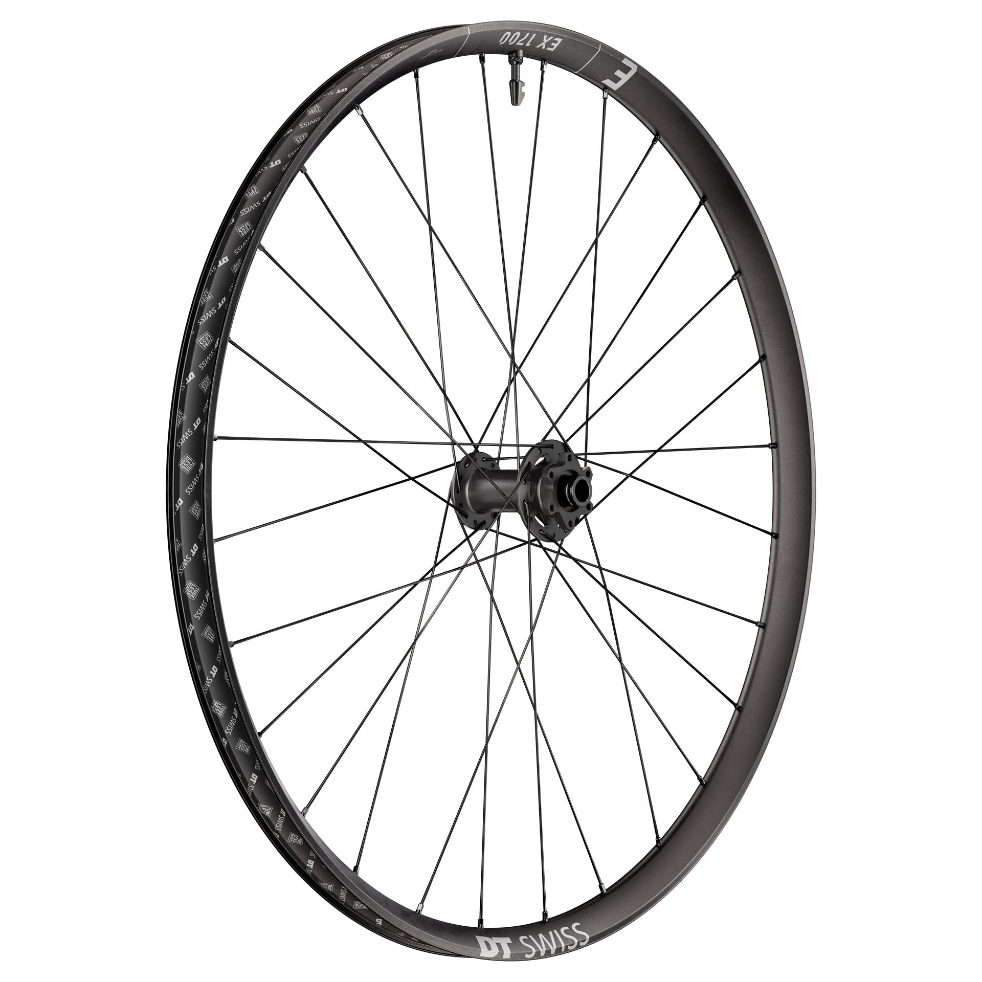 DT Swiss EX 1700 Classic Front Wheel - 29