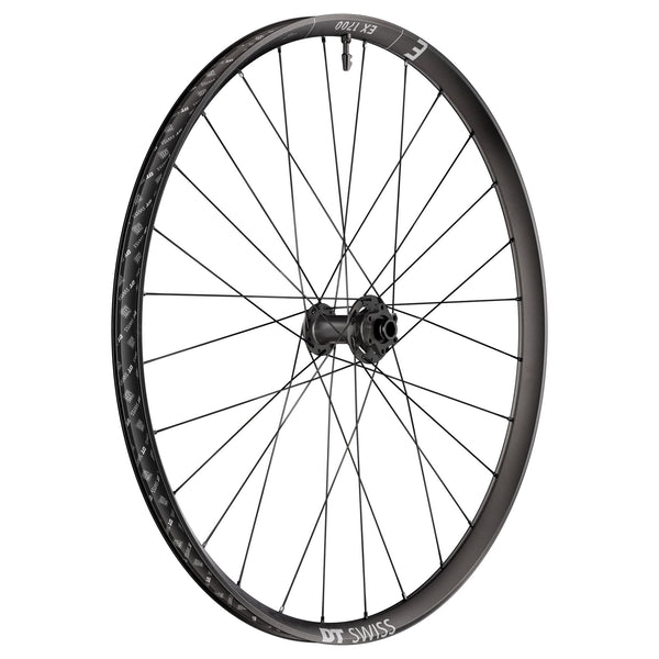 DT Swiss EX 1700 Classic Front Wheel - 29