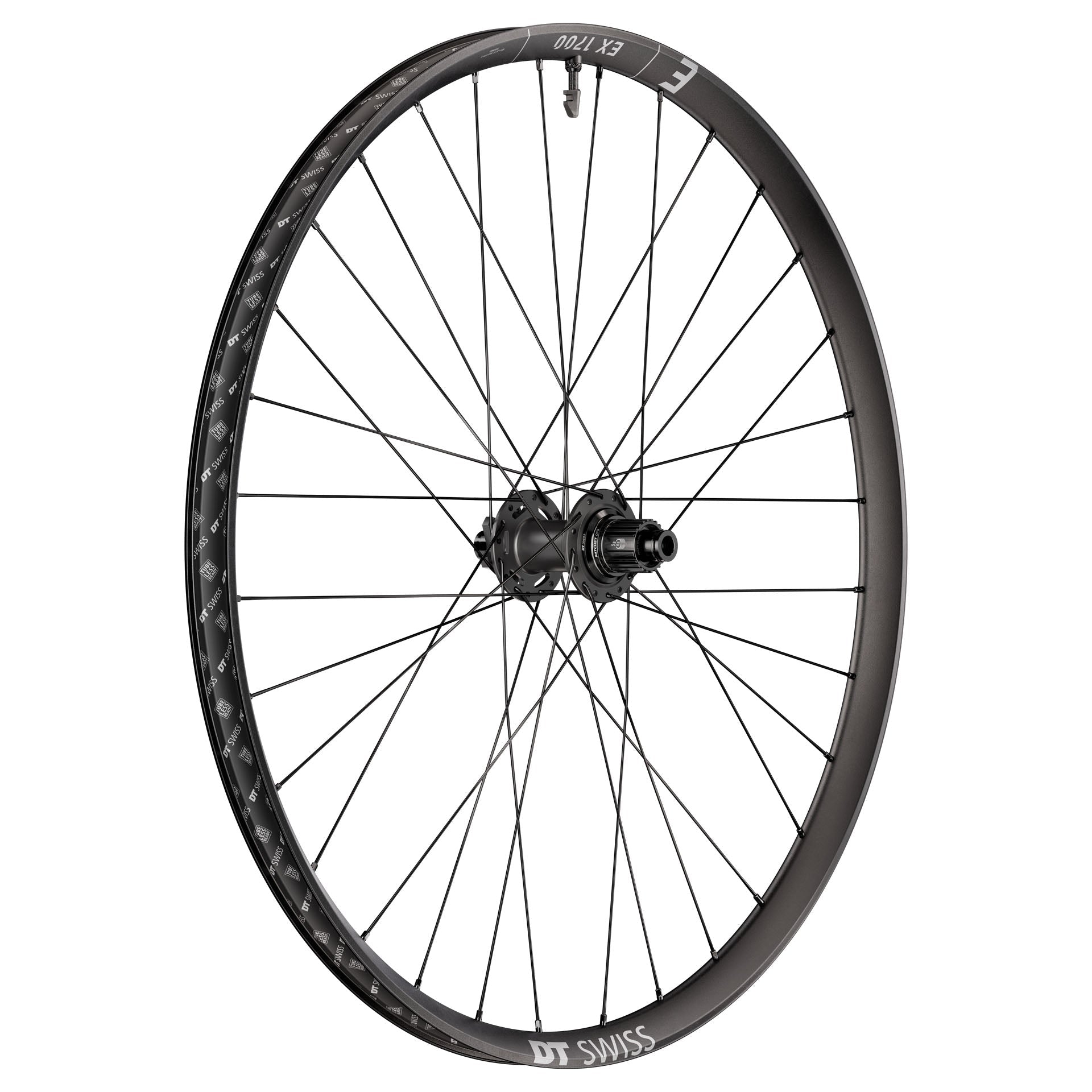 DT Swiss EX 1700 Classic Rear Wheel - 29