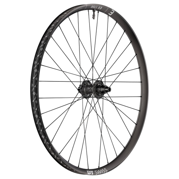 DT Swiss EX 1700 Classic Rear Wheel - 29