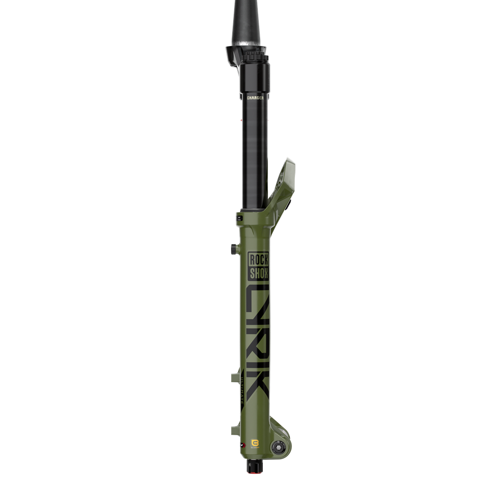 RockShox Lyrik Ultimate -  29" - 160mm - Green - Charger 3.1 RC2 - D2