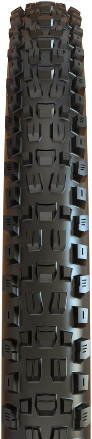 Maxxis Assegai 29 x 2.5 WT EXO/TR Mountain Bike Tire – The