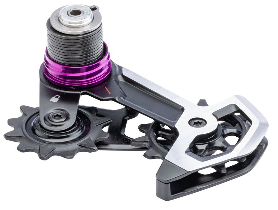 SRAM XX DH Full Replacement Cage Assembly - The Lost Co. - SRAM - 11.7518.104.029 - 710845929205 - 