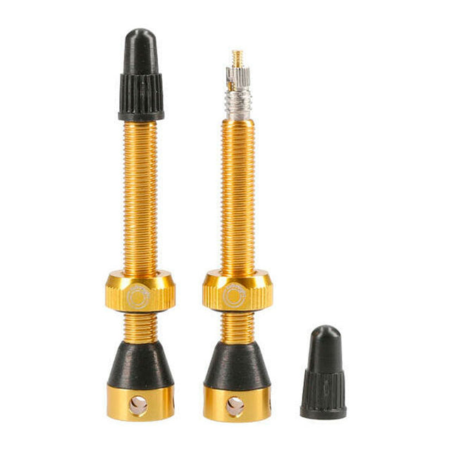 Tubolight Air Valve - 50mm - Gold - Pair - The Lost Co. - Tubolight - VVGLD - 723803996782 - 
