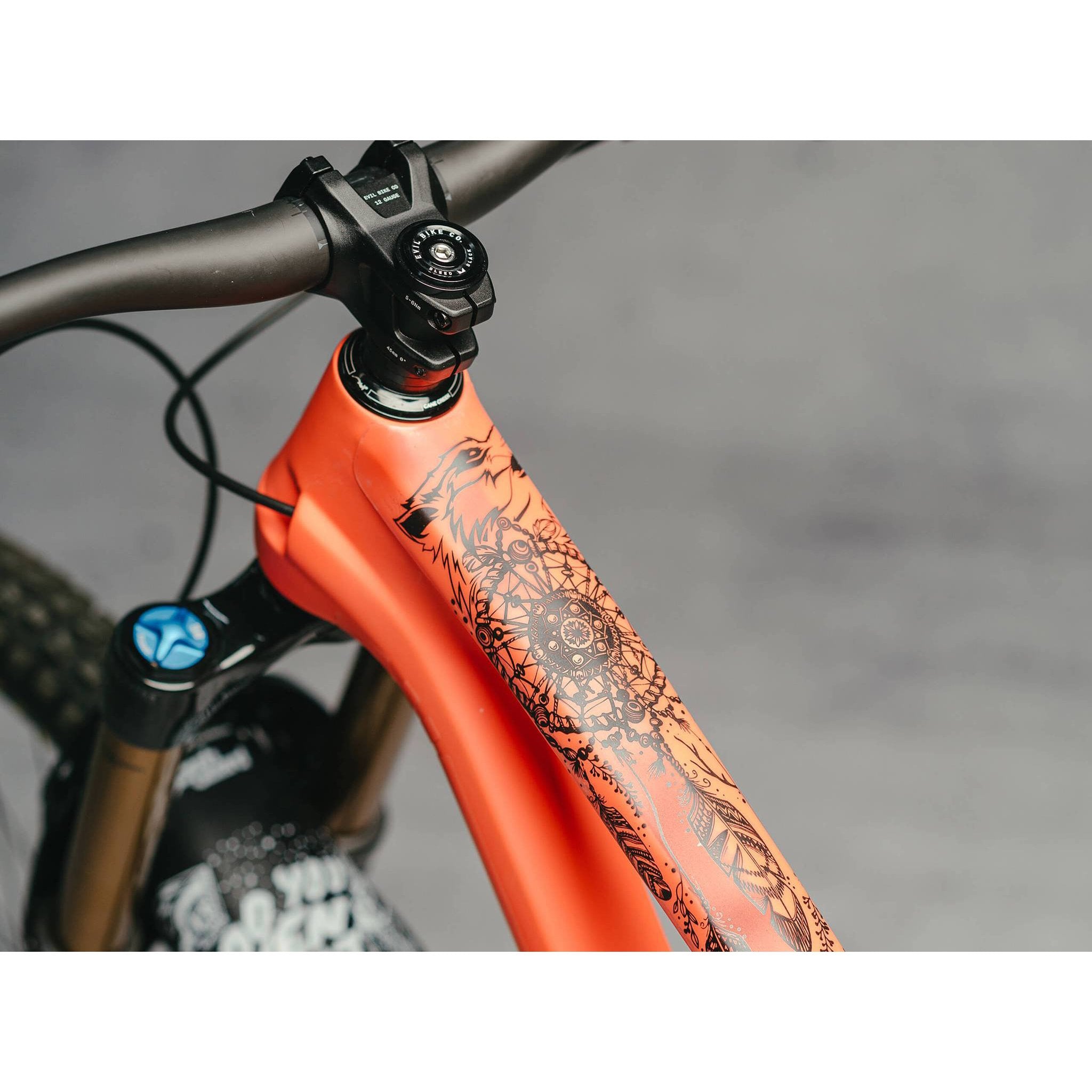 DYEDBRO Frame Protection - Dream Catcher Black – The Lost Co.