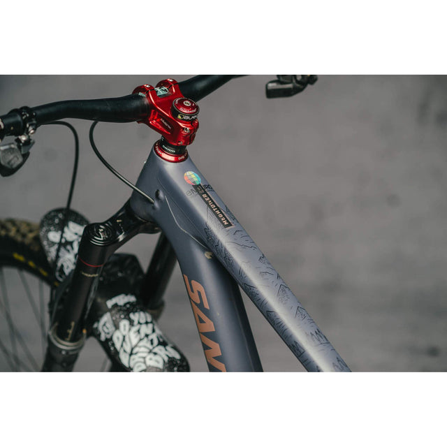 DYEDBRO Frame Protection - EWS Mountains Black - The Lost Co. - DYEDBRO - B-DB0038 - 8400000112314 - -