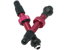 Load image into Gallery viewer, Industry Nine No-Clog Aluminum Tubeless Valve Stems - The Lost Co. - Industry Nine - TKVAPNK - 92356945 - Pink -