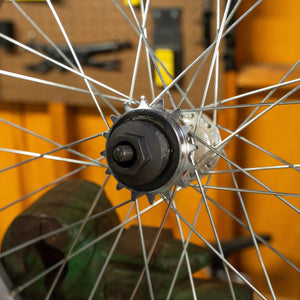 Pedros Freewheel Socket - Single Speed 4-Notch x 40mm - The Lost Co. - Pedros - TL1744 - 790983298098 - -