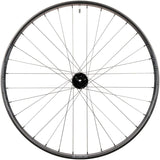 Stan's NoTubes Flow EX3 Front Wheel - 29" - 15x110 - 6-Bolt - The Lost Co. - Stan's No Tubes - H041848-08-29 - 847746061052 - -